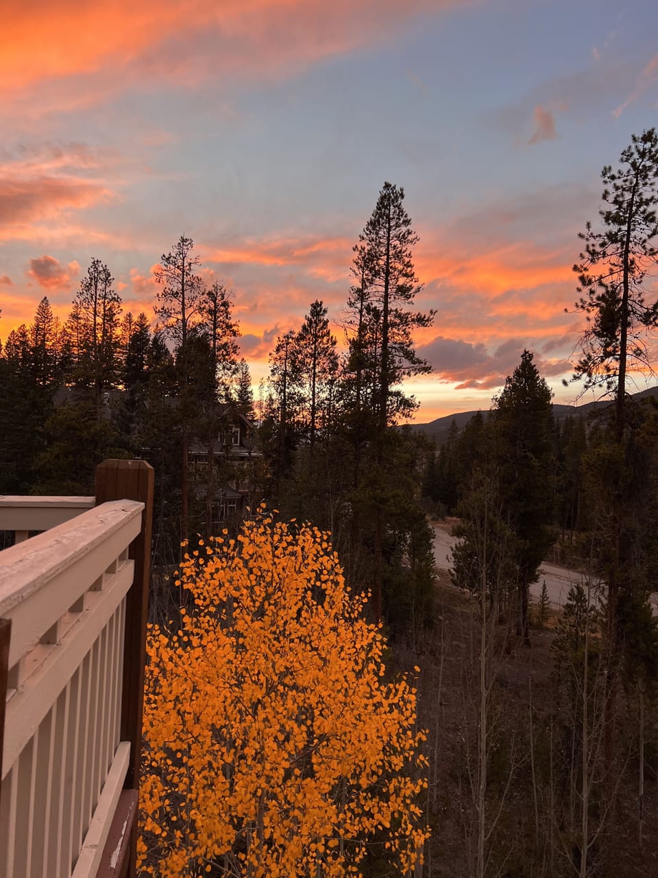 Deck view