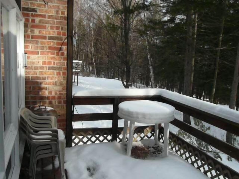Deck beside Living Room Winter