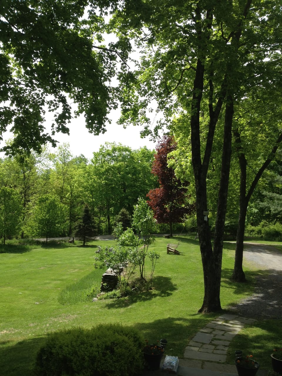 View from the front porch in Summer