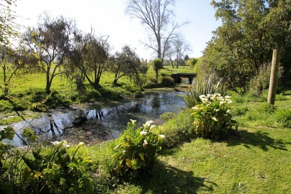 The Creek