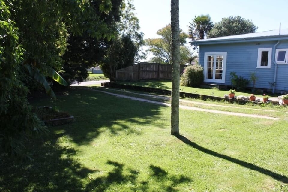Back yard