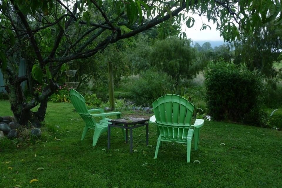 Under the peach tree
