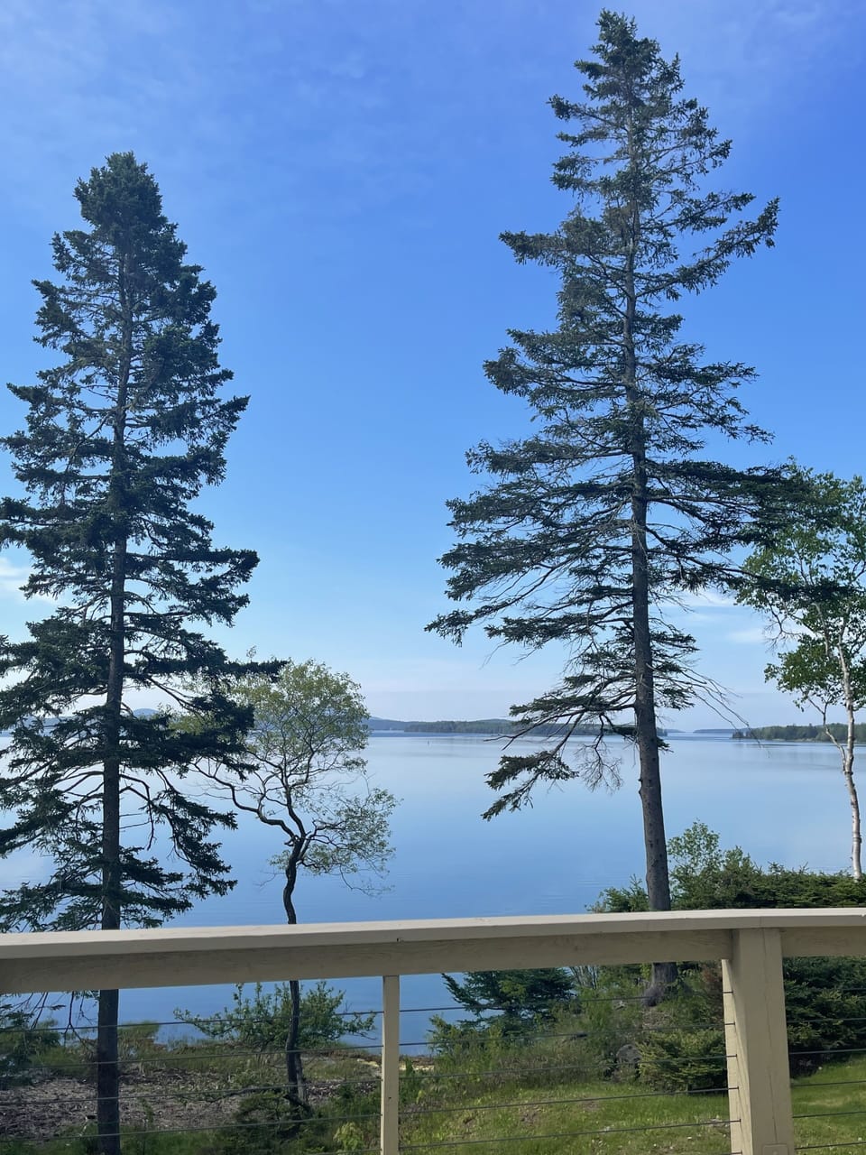 View from property