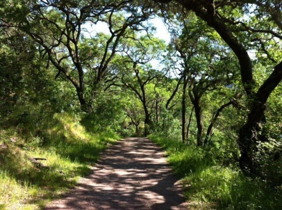 Hiking at the Sonoma County Regional Park