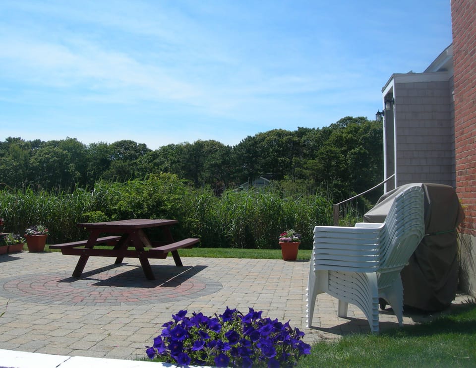Patio early summer
