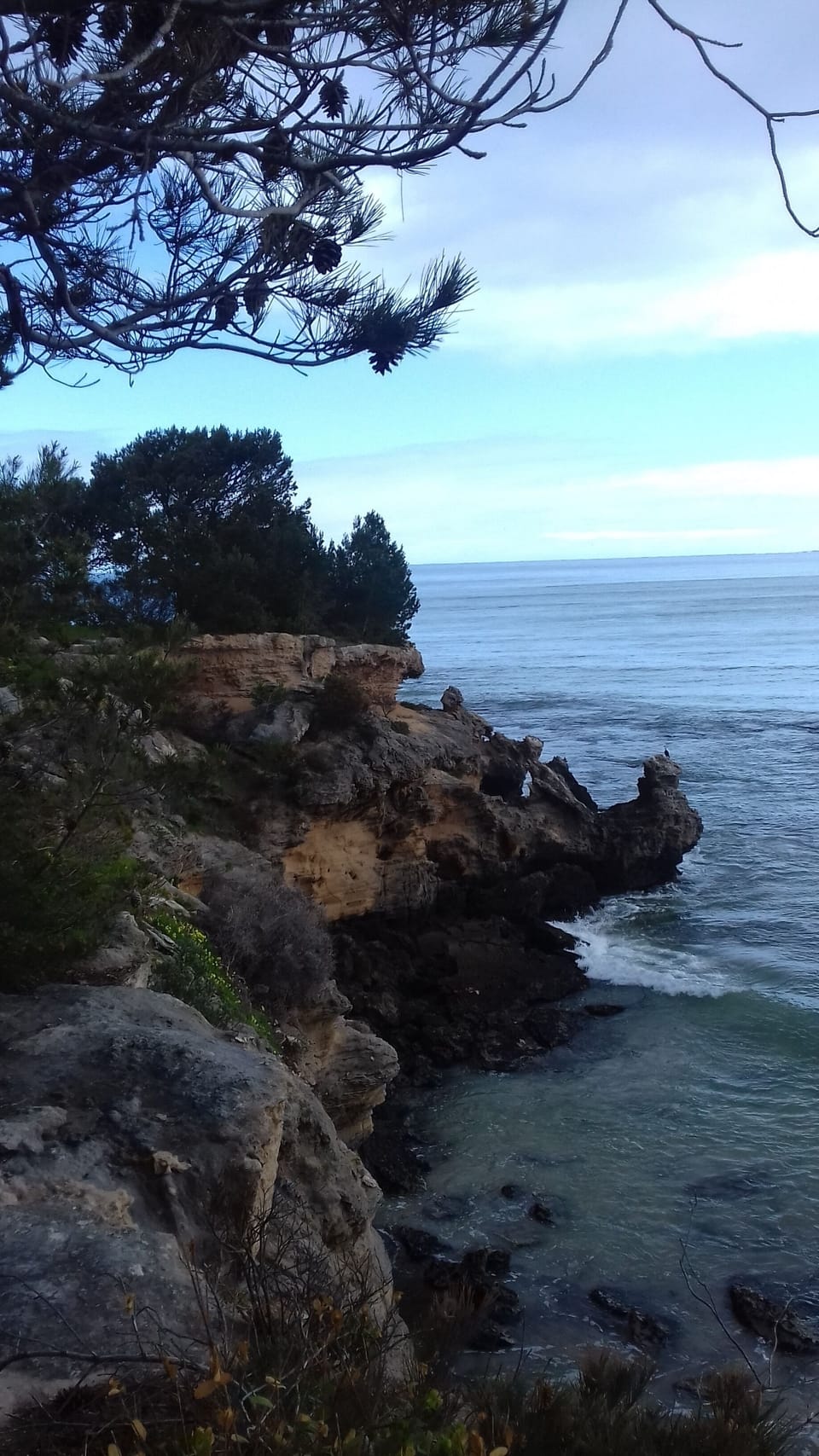 Walking path from Long Beach to town