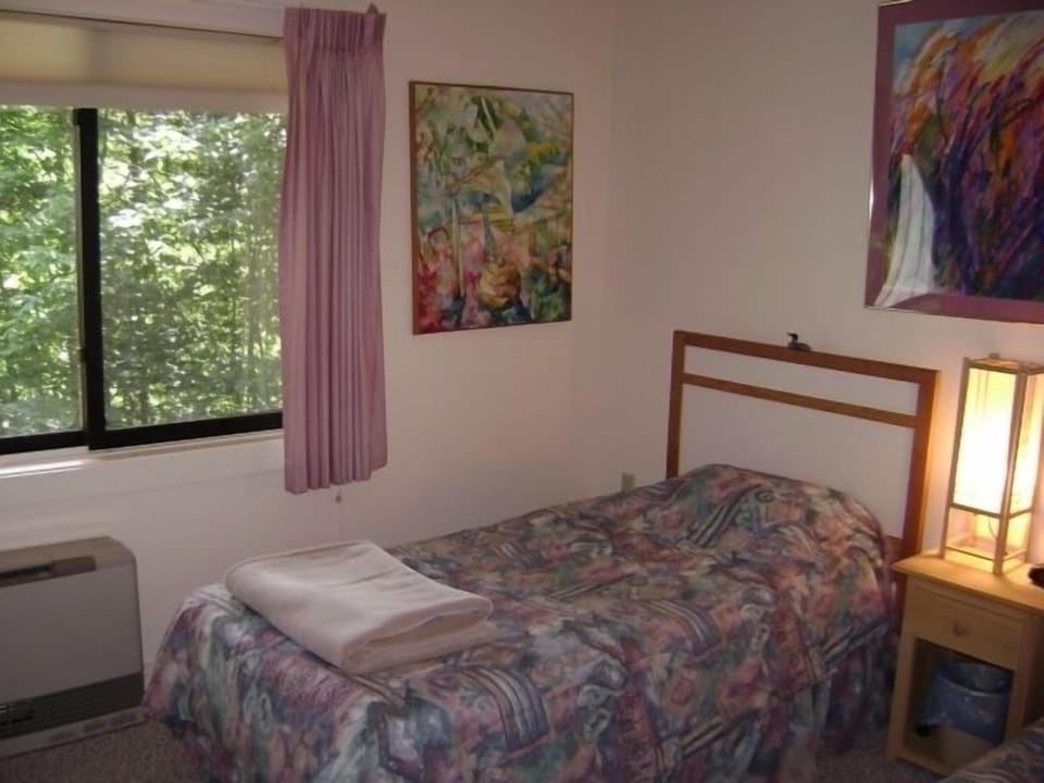 downstairs bedroom (two twin beds)