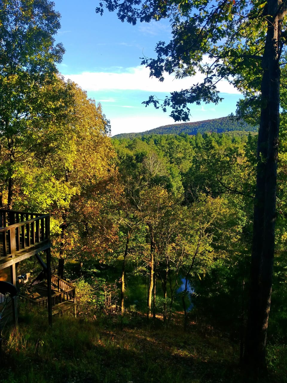 View from property