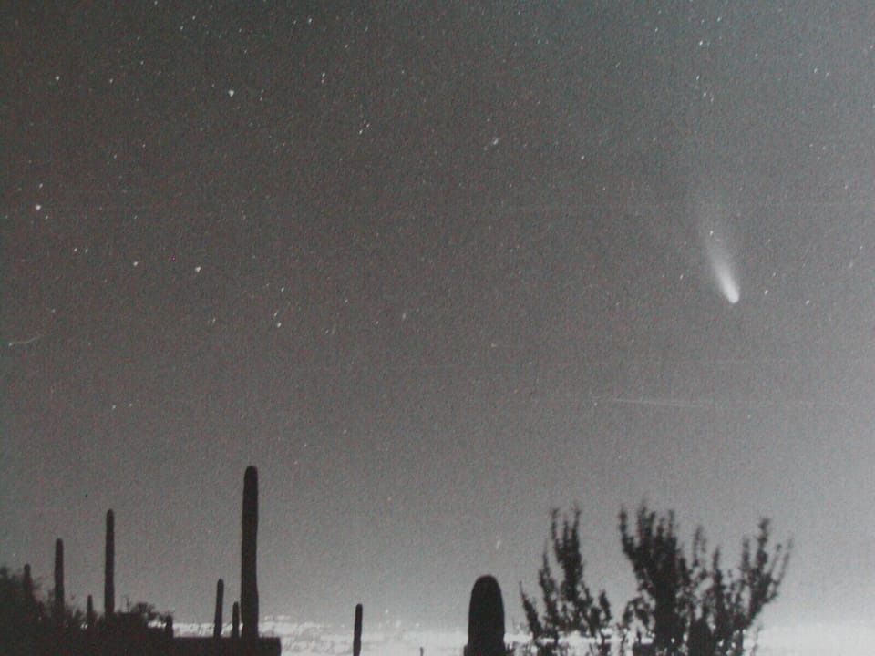 The night sky with Hale-Bopp Comet and city lights. Photo by son Ted, (c)1997