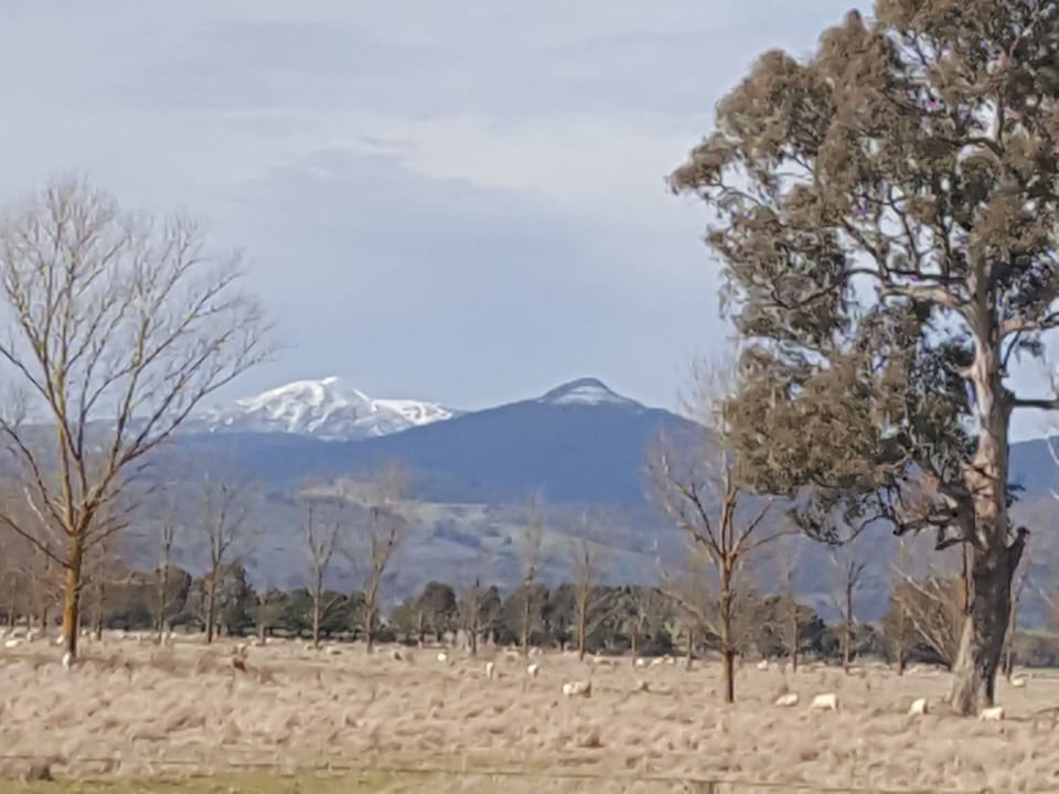1 hours drive to My Buller ski field