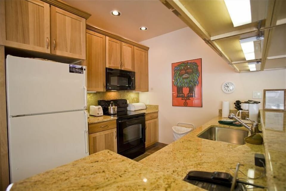 Kitchen-2007-with slab granite counter tops, new appliances