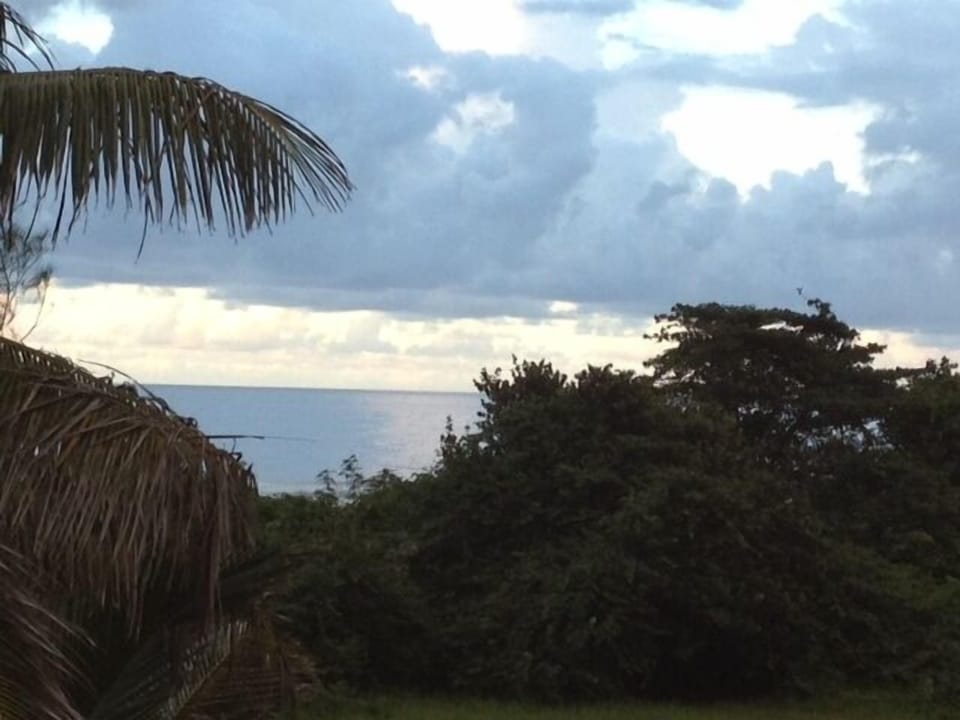 View from our 15 x 40' deck