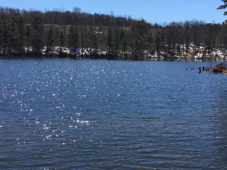 Winter Lake