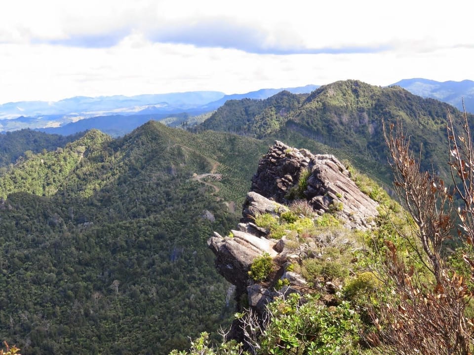 Views from Castle Rock Mountain
