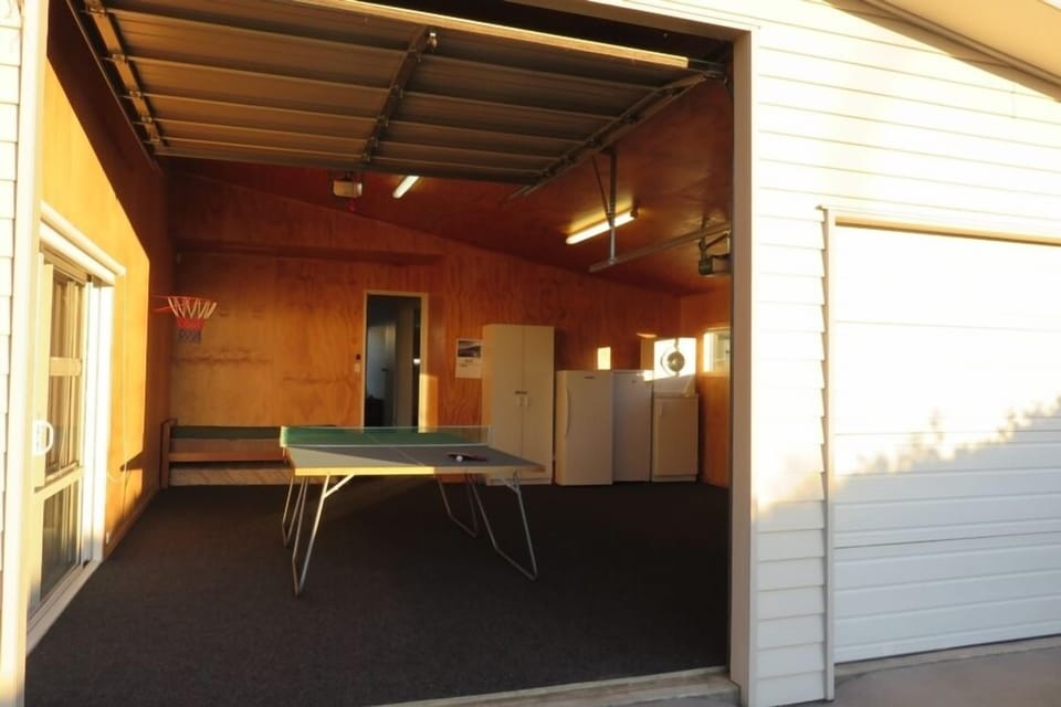 Ping pong table, basketball hoop, dart board, and fridge/freezer/dryer.