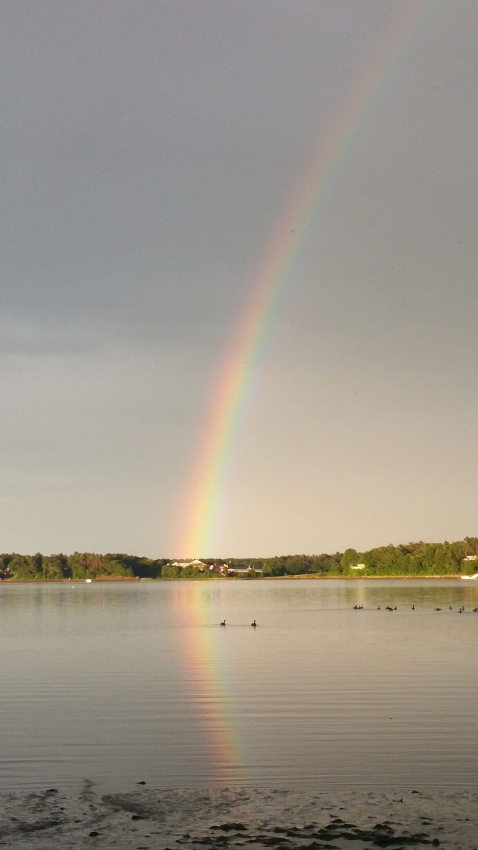 Afternoon rainbow from the beach in front.