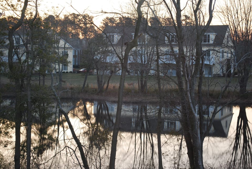 View over pond