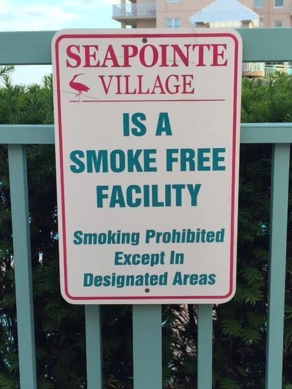 SMOKE FREE & NO PETS