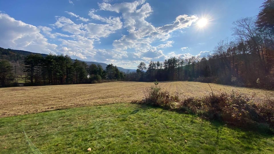 field in front of the cabin