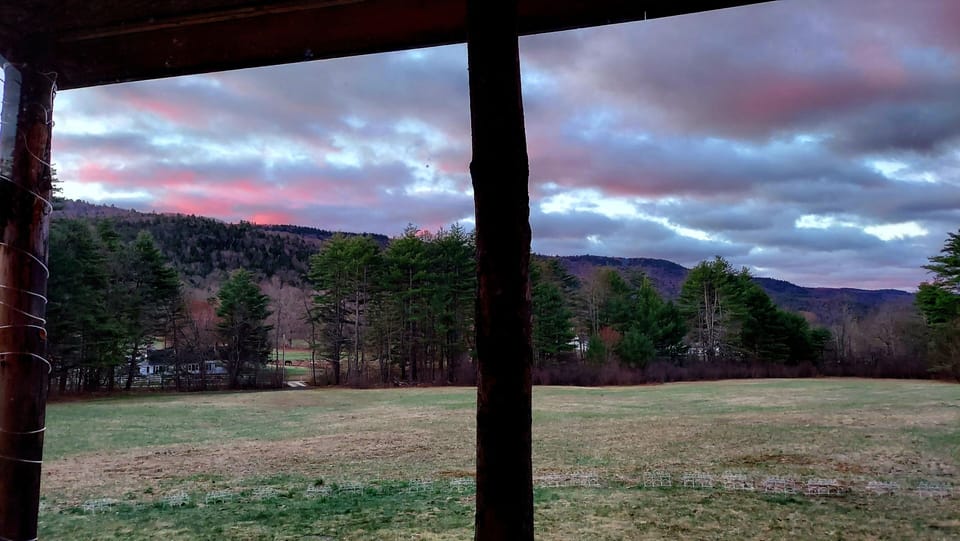 view from the porch