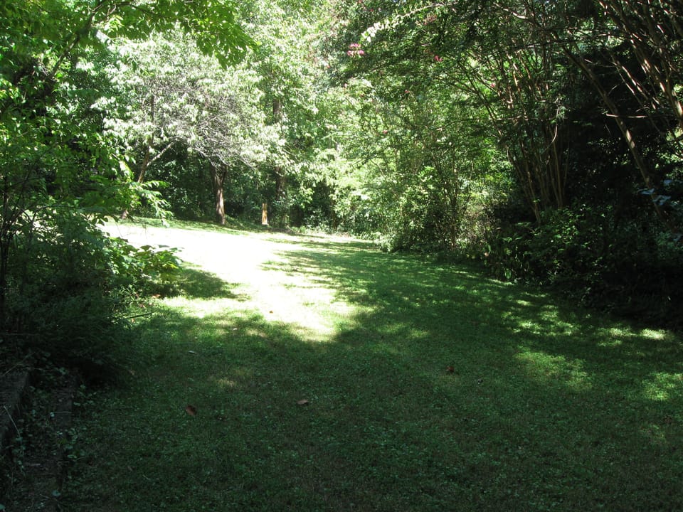 Enclosed landscaped Backyard, camelis & Crepe Myrtles  