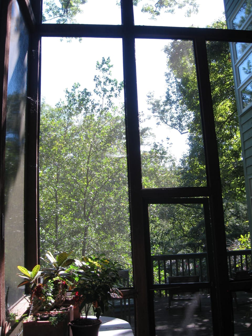 Back of porch with views of Greater Fernbank Forest & Peavive Creek. Total priva