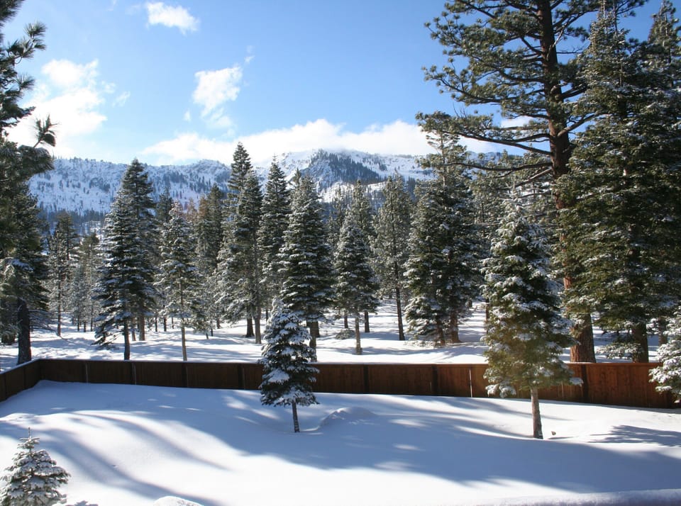 Views of the forest and mountains from great room and master bedroom.