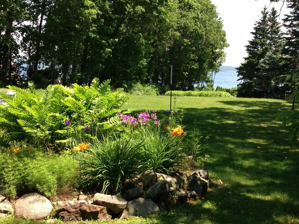 A view across the lawn.