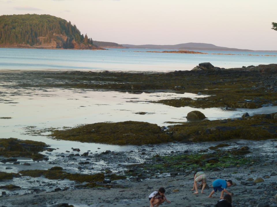 A view from the Shore Path