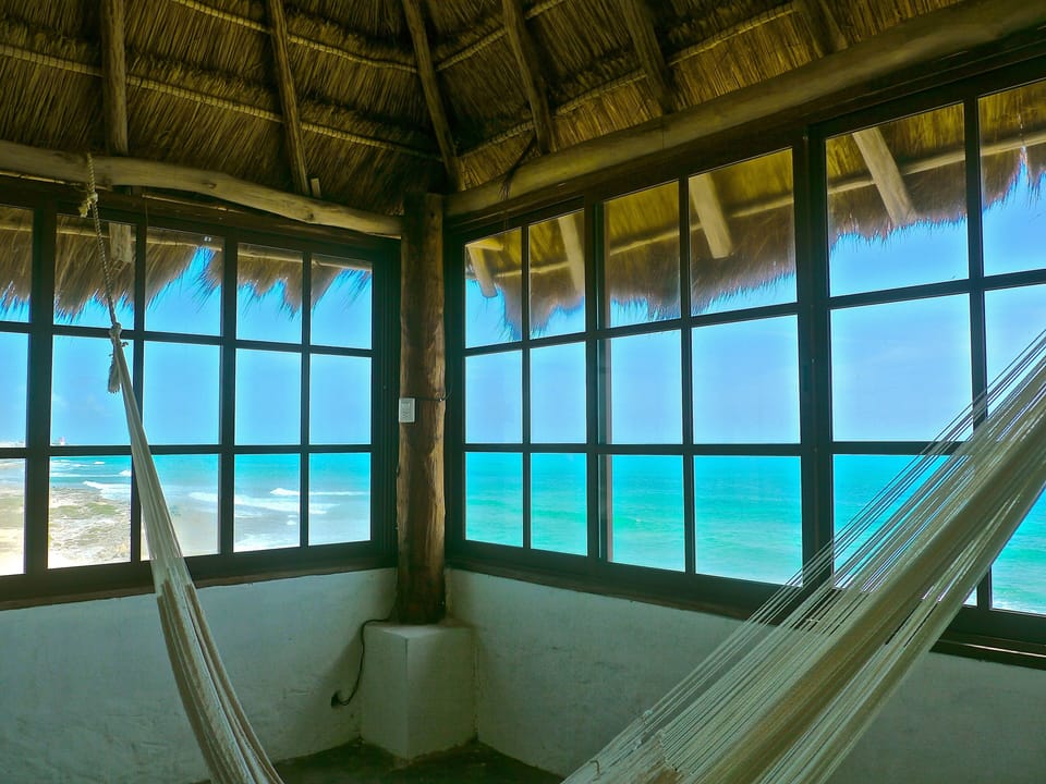 Paradise Found
