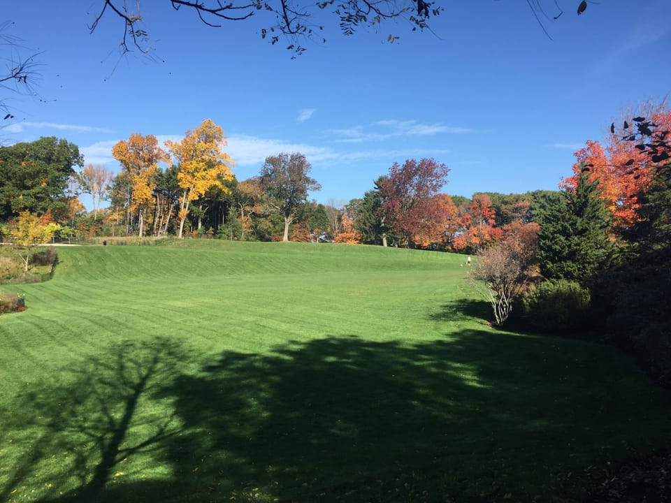 Fresh Pond within 3 minutes walking distance