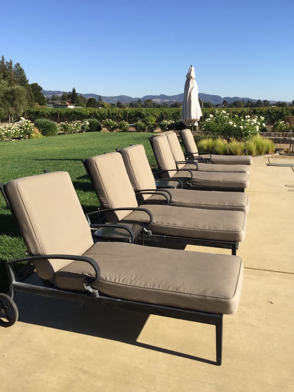 A Lounger for Everyone!