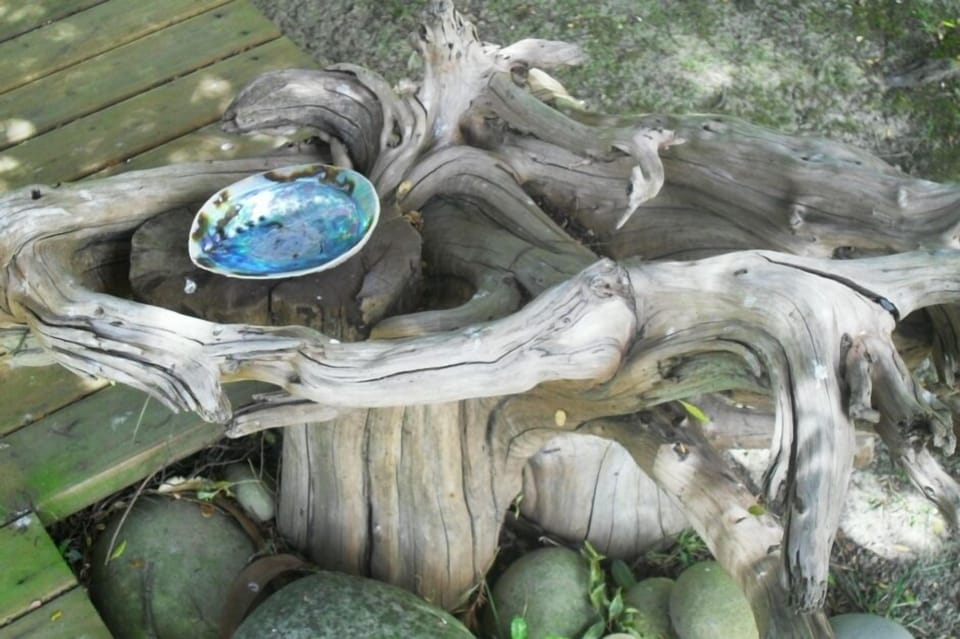 Nature's art