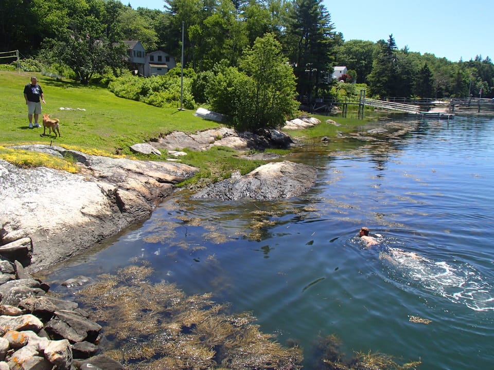 Swimming in the cove