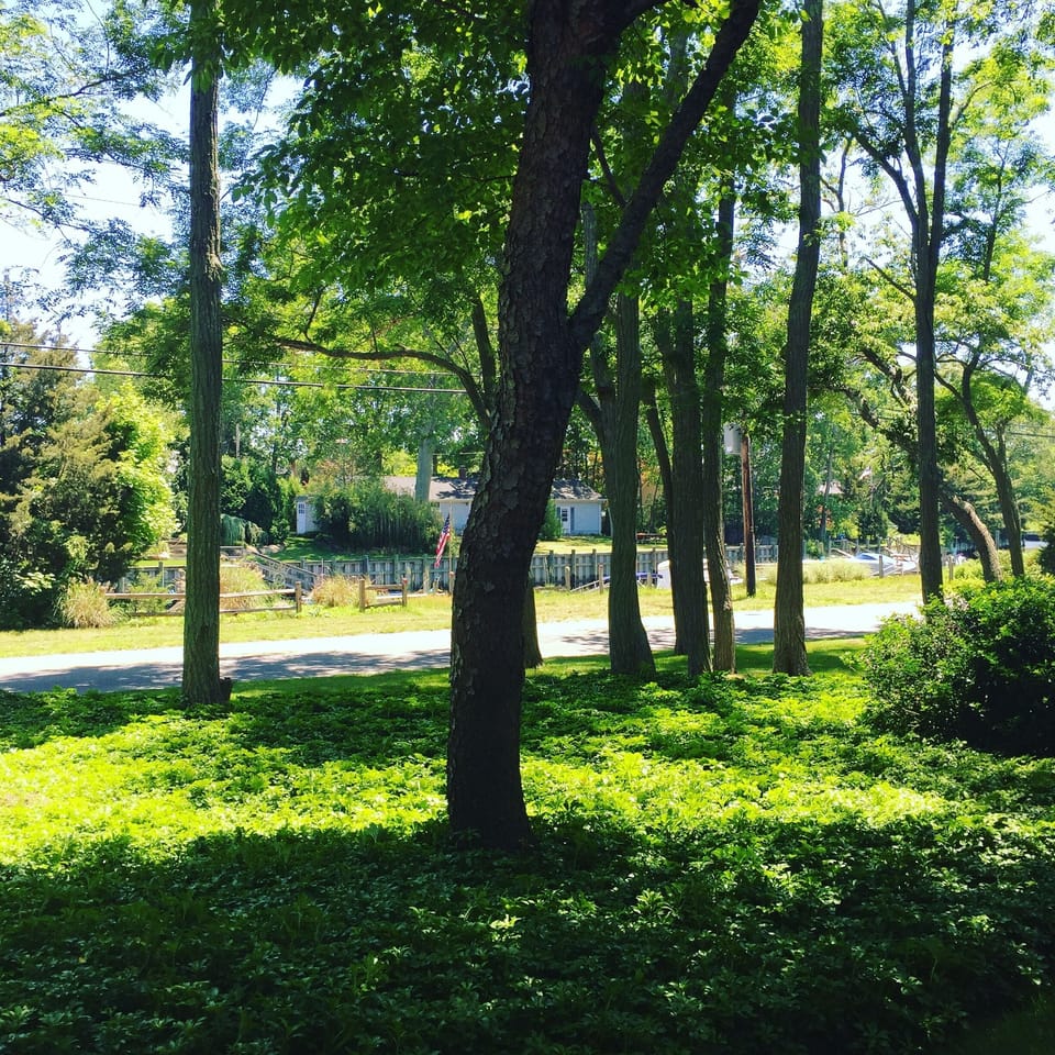 Front lawn-view on the inlet
