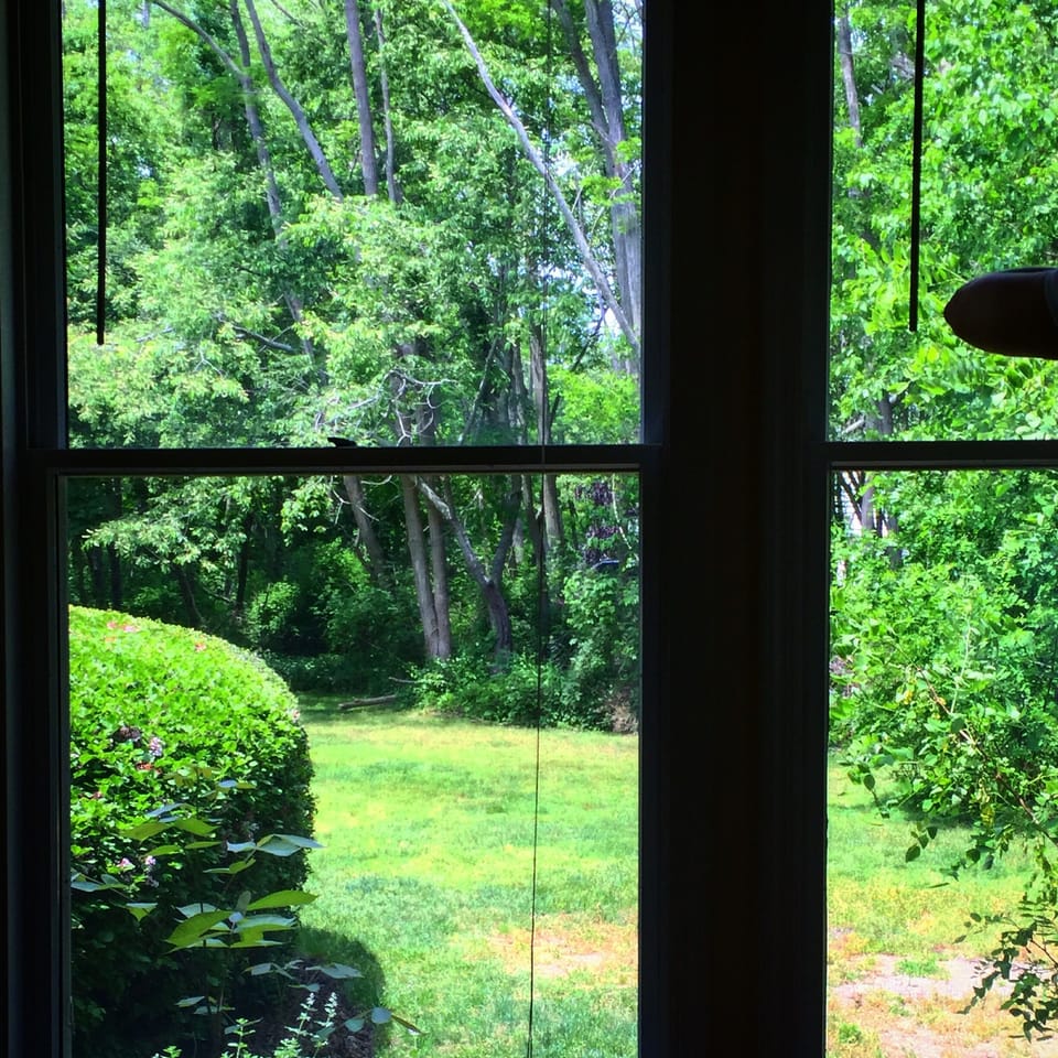 Living room window view 