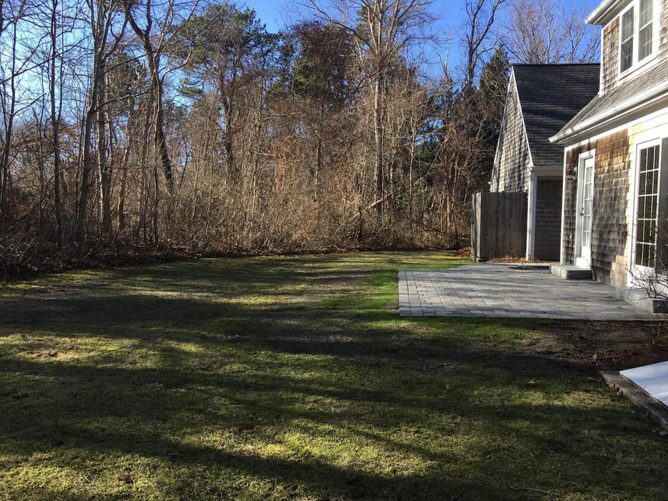 spacious backyard for entertaining and games