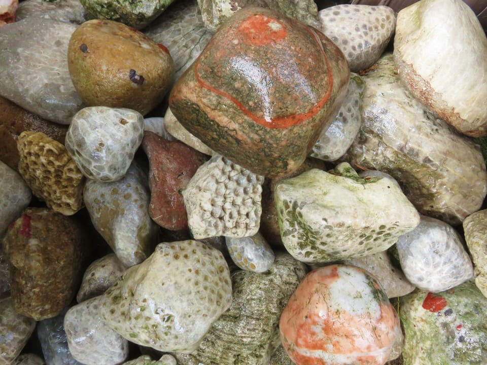 Petoskey stones found right on our beach (pudding stones found near-by)