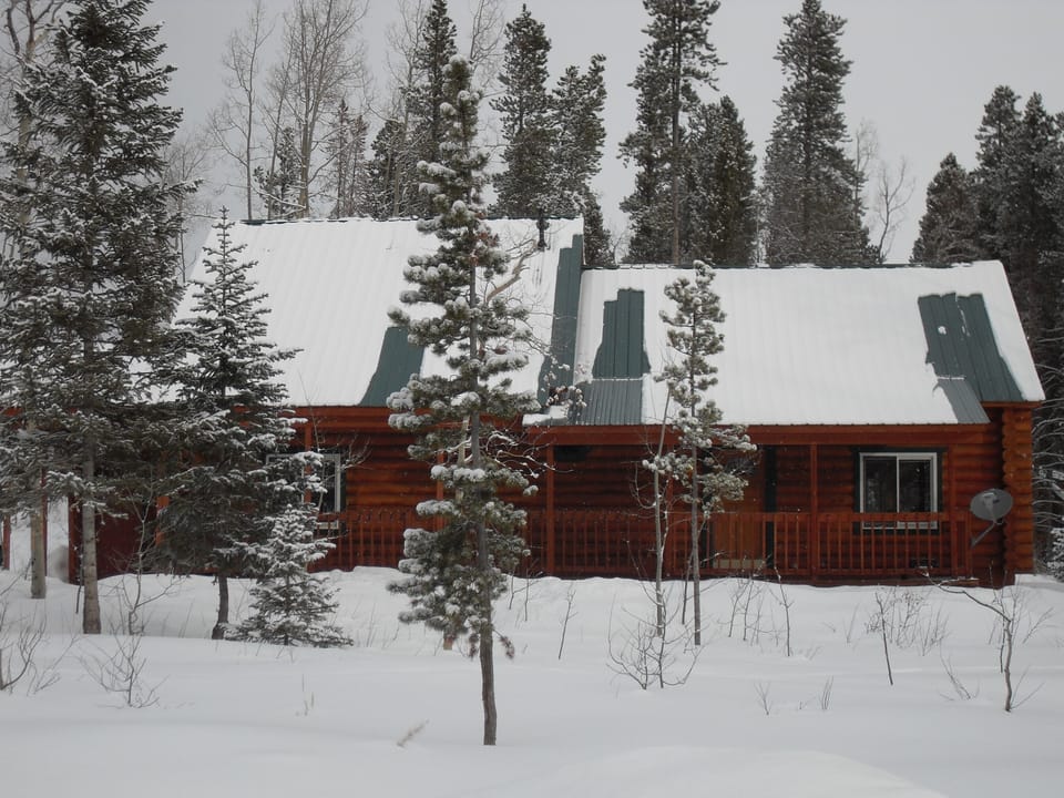 Leaning Pine Cabin 