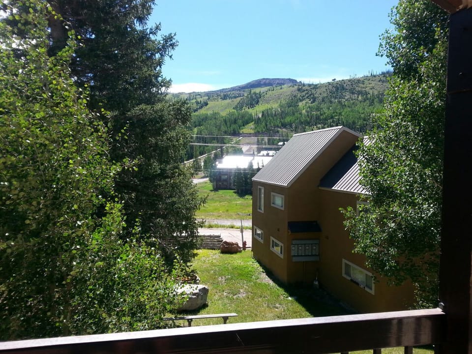Summer view from balcony.