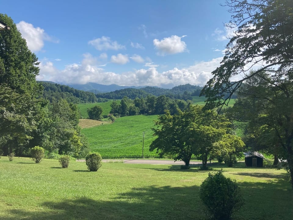 Deck view, July, '22