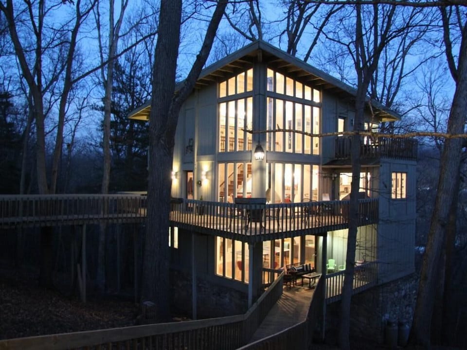 Welcome to Tree Tops!