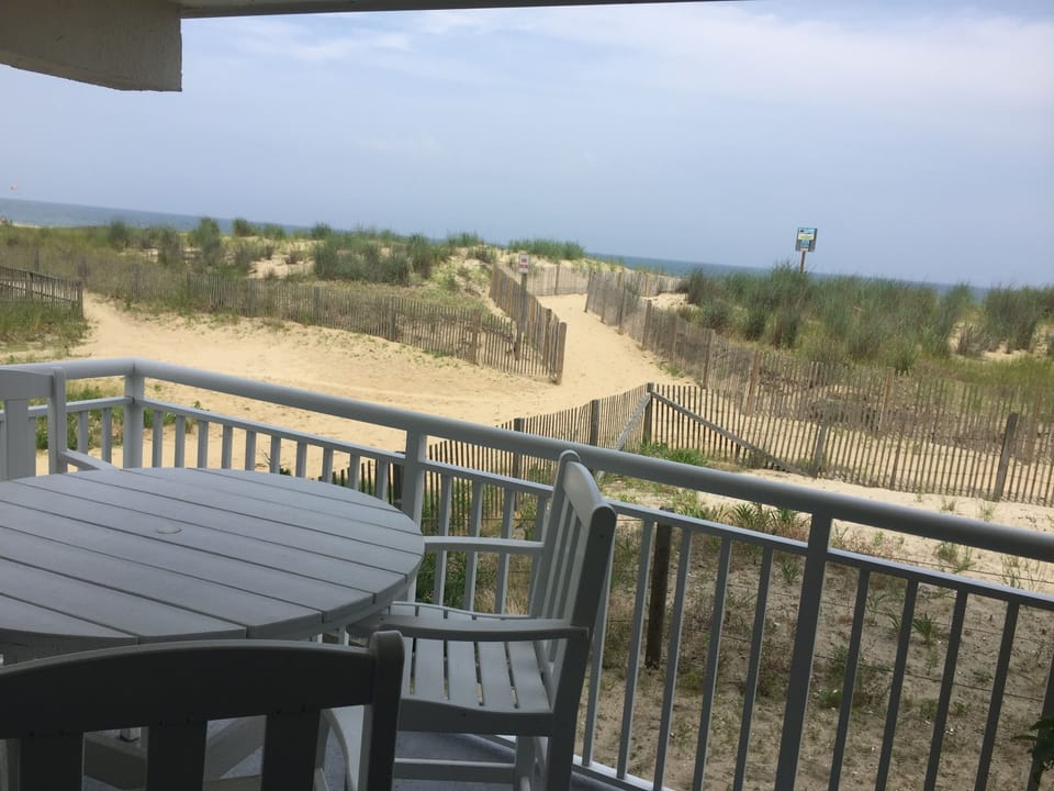 View from the patio.