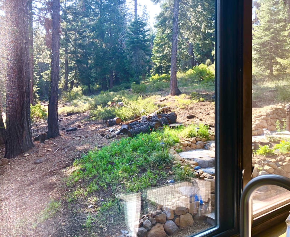 View from kitchen window out to Conservancy Land. 