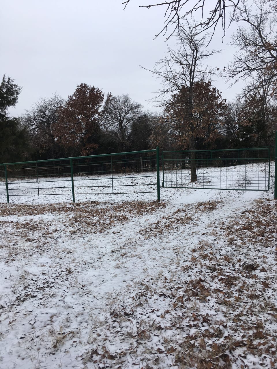 Horse corral