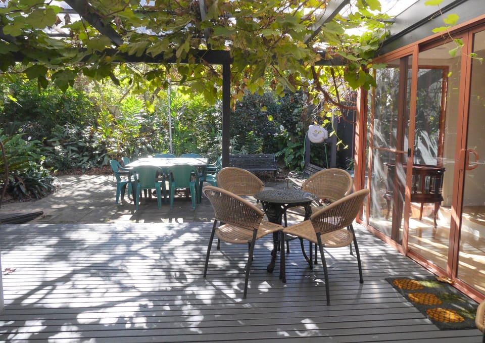 courtyard with grapevines