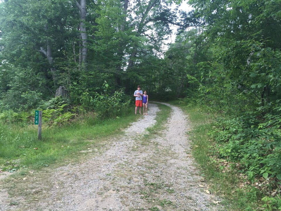 Entrance looking up driveway from bottom of hill