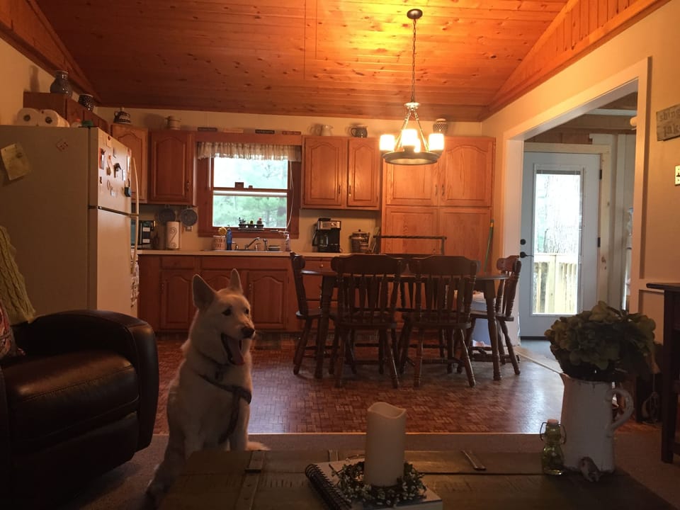 Kitchen with table seating for 6-8.  Window overlooks dogs and fire pit in back.