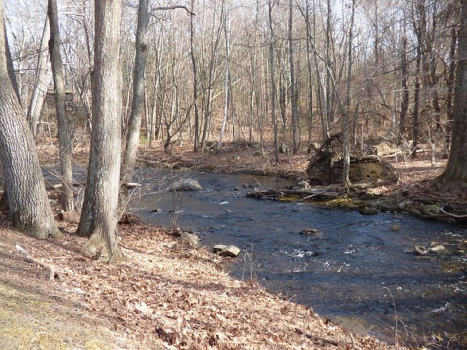 Beautiful stream on the lower end of backyard 