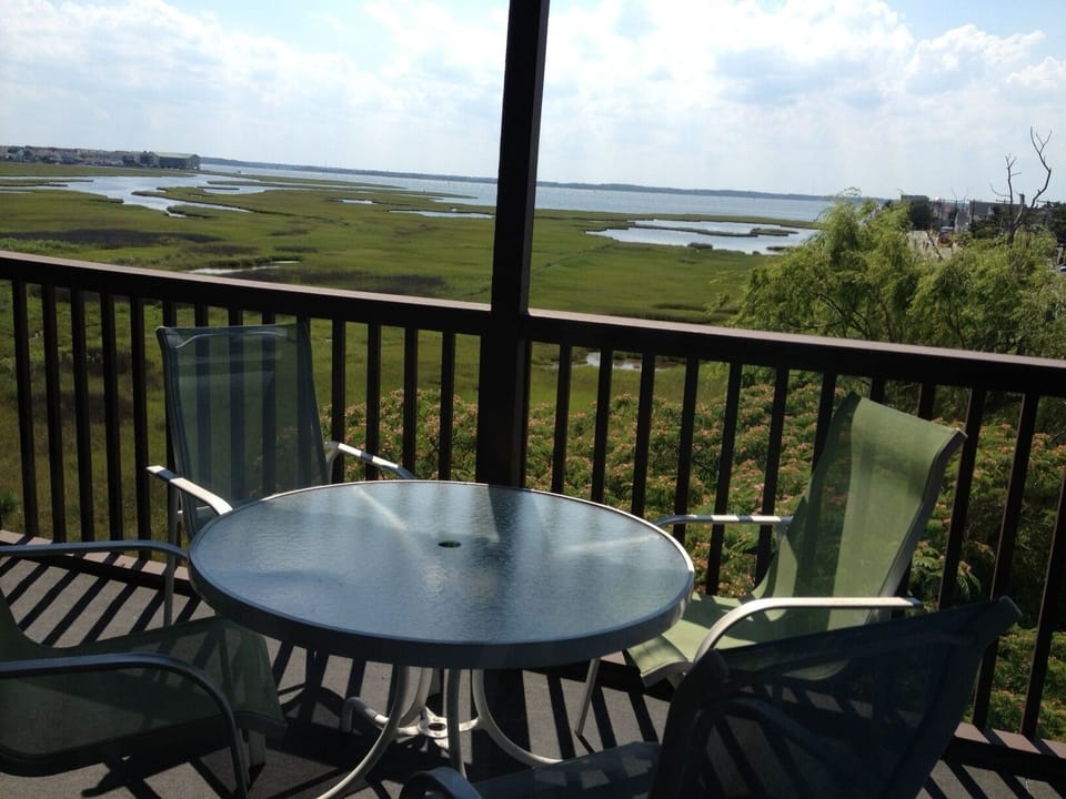 View from deck